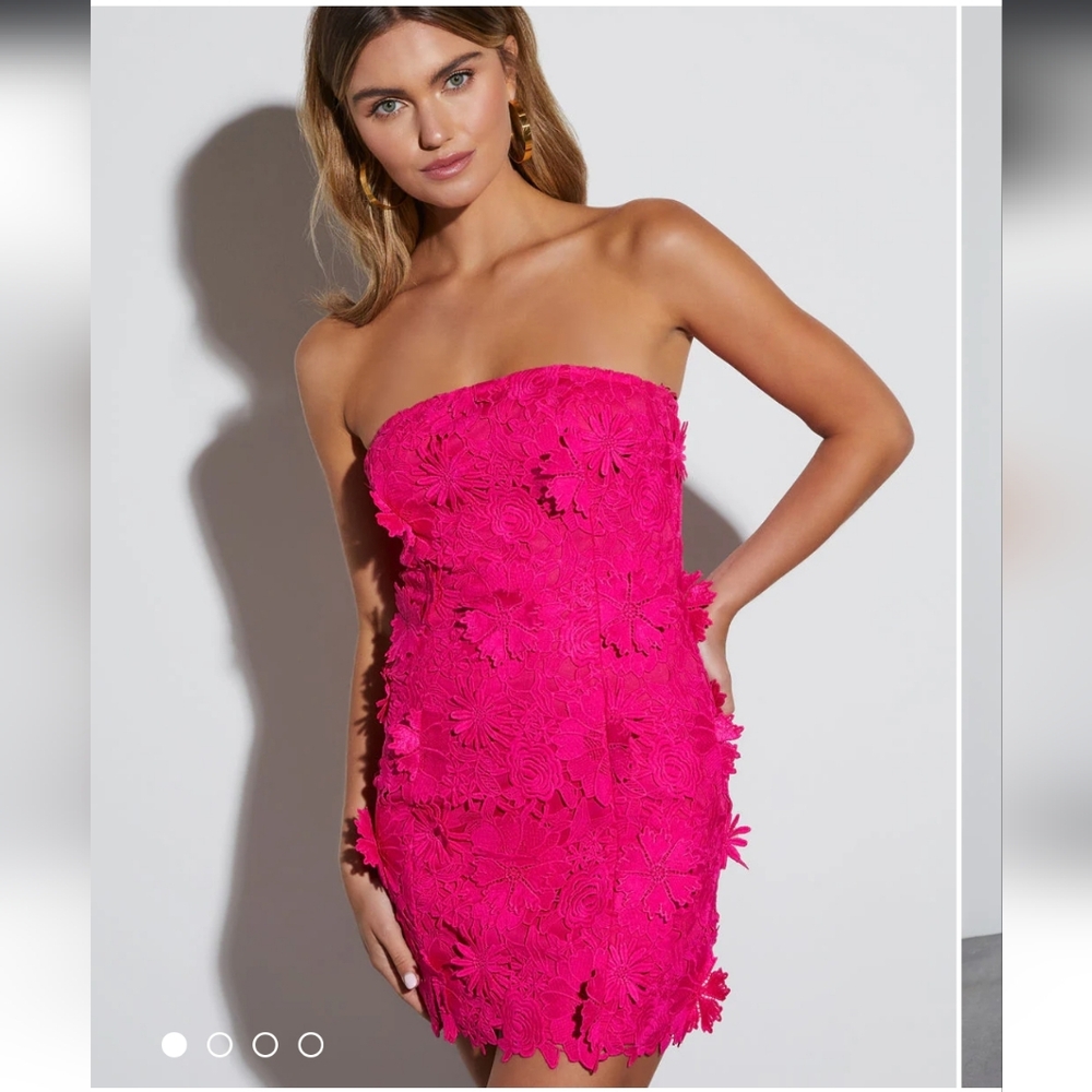 VICI-Madelyn Pink 3D Embroidered Floral Strapless Mini Dress- Sz- S & L